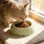 Bol pour chat surélevé en plastique avec conception inclinée, 7,28 po x 2,76 po-131214823
