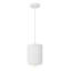 Hayden 1 - Light LED Pendant-629286467