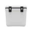 VEVOR 38L Handheld Cooler in Grey-white