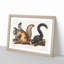 Fox Squirrels by J.W. Audubon - Framed Print-55577741-55577744