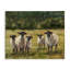 «Flock of Sheep Family Peinture», impression-937284112-937284113