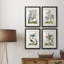 «Pastel Birds I», ensemble de 4 reproductions de cadres photo-1266957739-1266957738