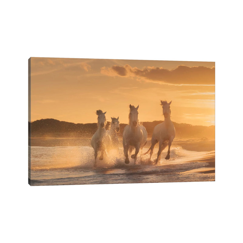 White Angels Of Camargue XXXIX by Daniel Kordan - Wrapped Canvas Gallery-Wrapped Canvas Giclée, 152.5 cm H x 101.5 cm W