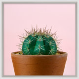 Cacti On Pink 1 Print by Mat Sanders