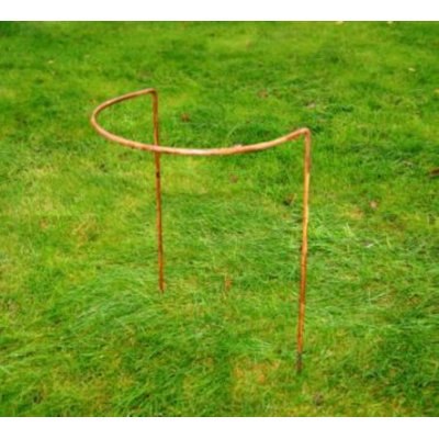 Babken Metal Plant Support