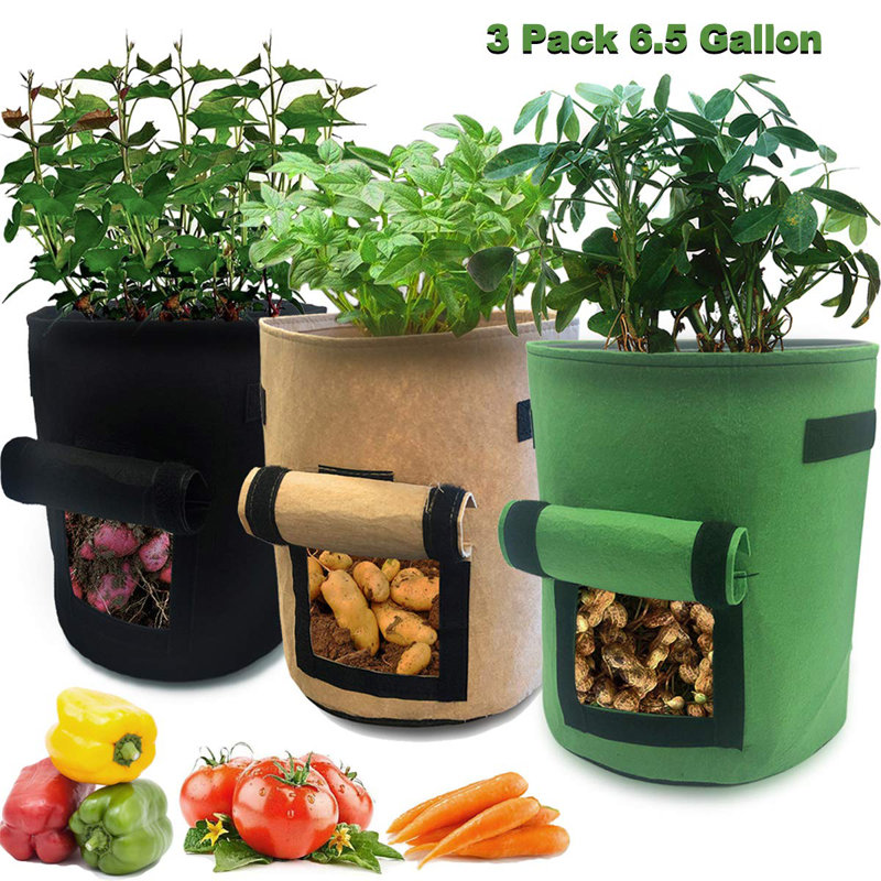Ensemble de 4 sacs de culture Akhenaton, H 13,78 po x l 11,81 po x P 11,81 po, Noir / vert / naturel 1