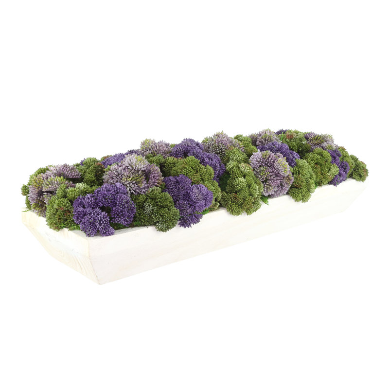 Sedum Arrangement in a Rectangular Wood Planter