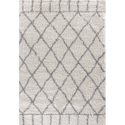 Tioga Geometric Shag Area Rug