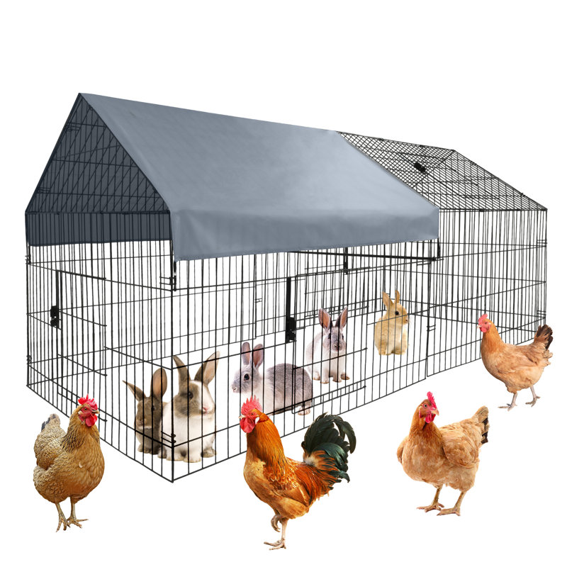Chicken Coop