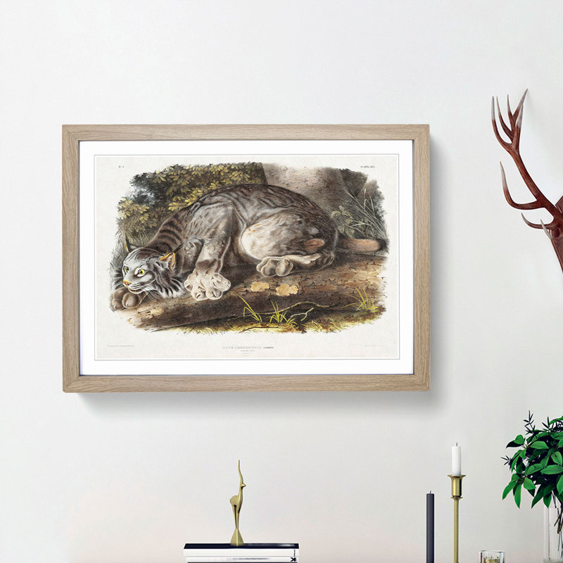 Canadian Lynx by J.W. Audubon - Picture Frame Painting Print, 27cm H x 36cm W x 2cm D, Oak Framed