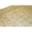 Hand Knotted Wool Area Rug in Gold