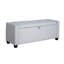 Starke 109cm Wide Rectangle Solid Colour Standard Ottoman with Storage-1464673910
