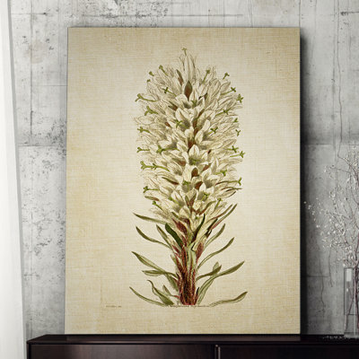" Botanical Plate X "