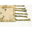 Tapis beige en laine New Age Briannalee