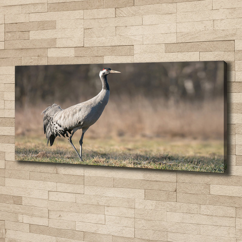 Heron - Wrapped Canvas Print