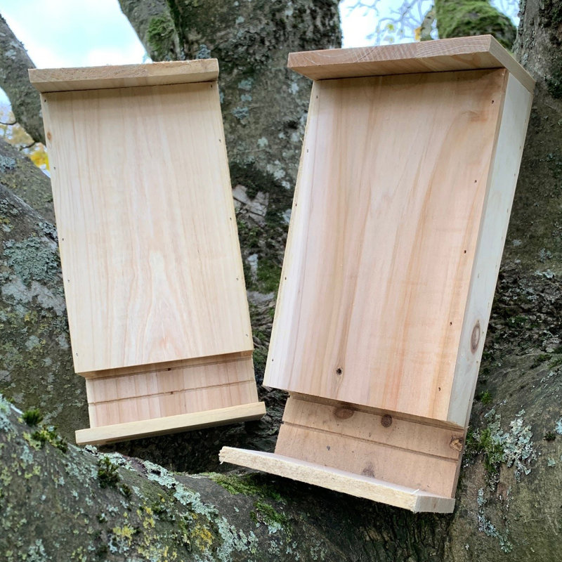 Izaguirre Mounted Bat House