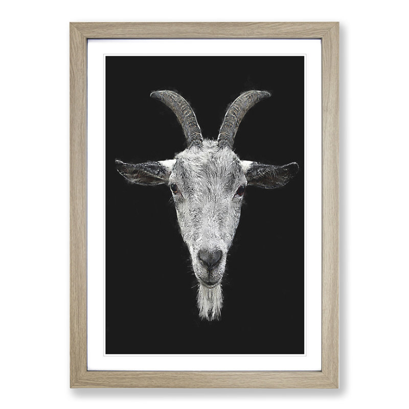 White Goat Vol.1 Painting - Picture Frame Graphic Art, Oak, 36cm H x 27cm W x 2cm D