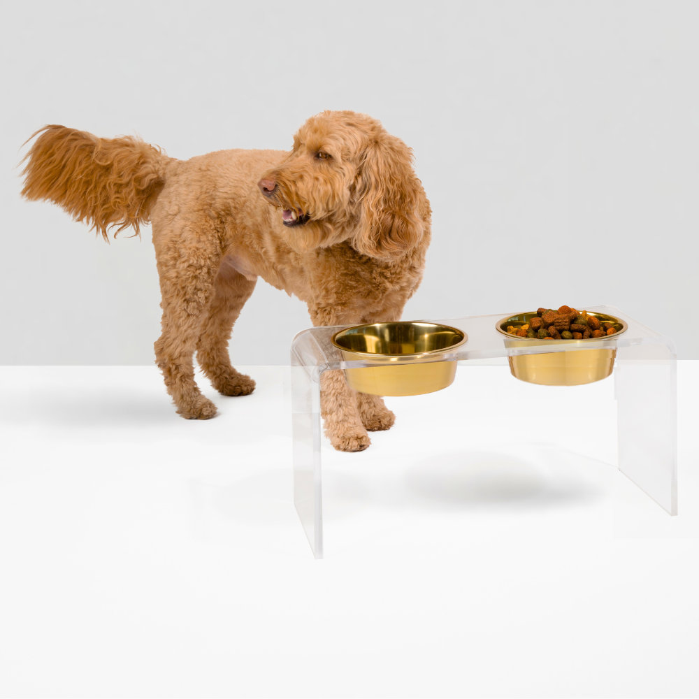 Tall Clear Elevated Feeder with Bowls, Gold, Clear