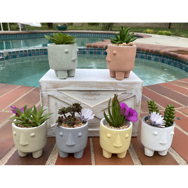 Pot Planter, White/Pink/Yellow, 3