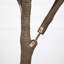 Artificial Autumn Fall Eucalyptus Tree-688034103