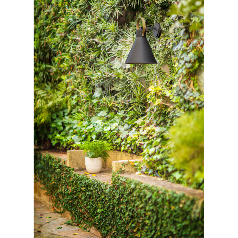 Winnie Outdoor Wall Mount Lantern, 16.5" H x 12" W x 12.5" D