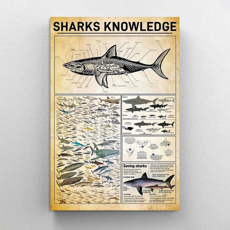 Requins, impression sur toile tendue, H 20 po x l 16 po x P 1,25 po