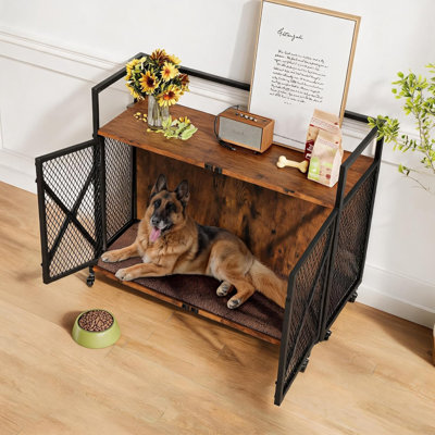 Dog House