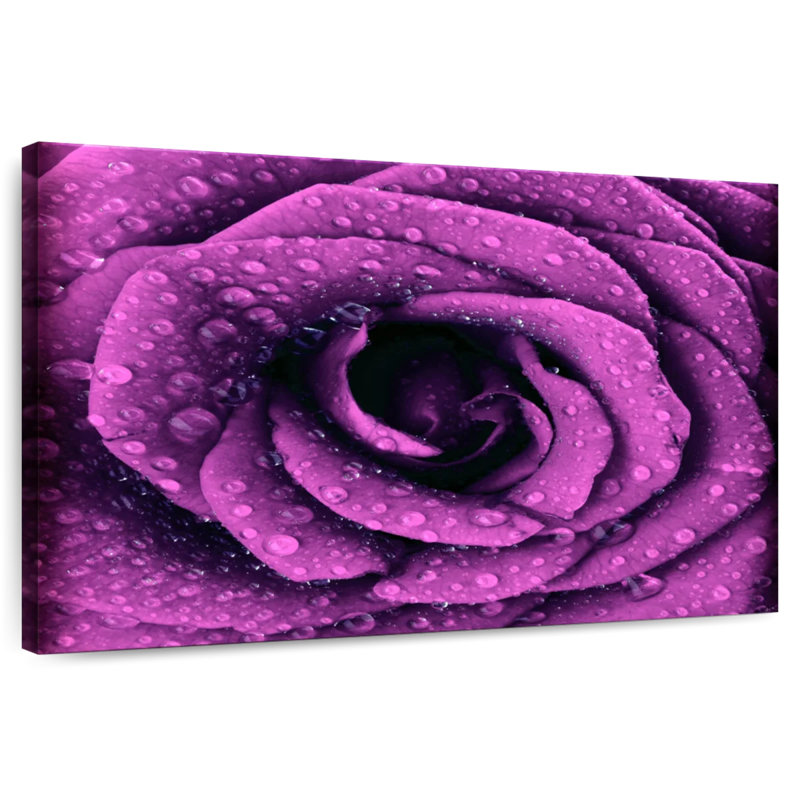 Pétales de rose mauve Harnek Dewy, H 24 po x l 36 po