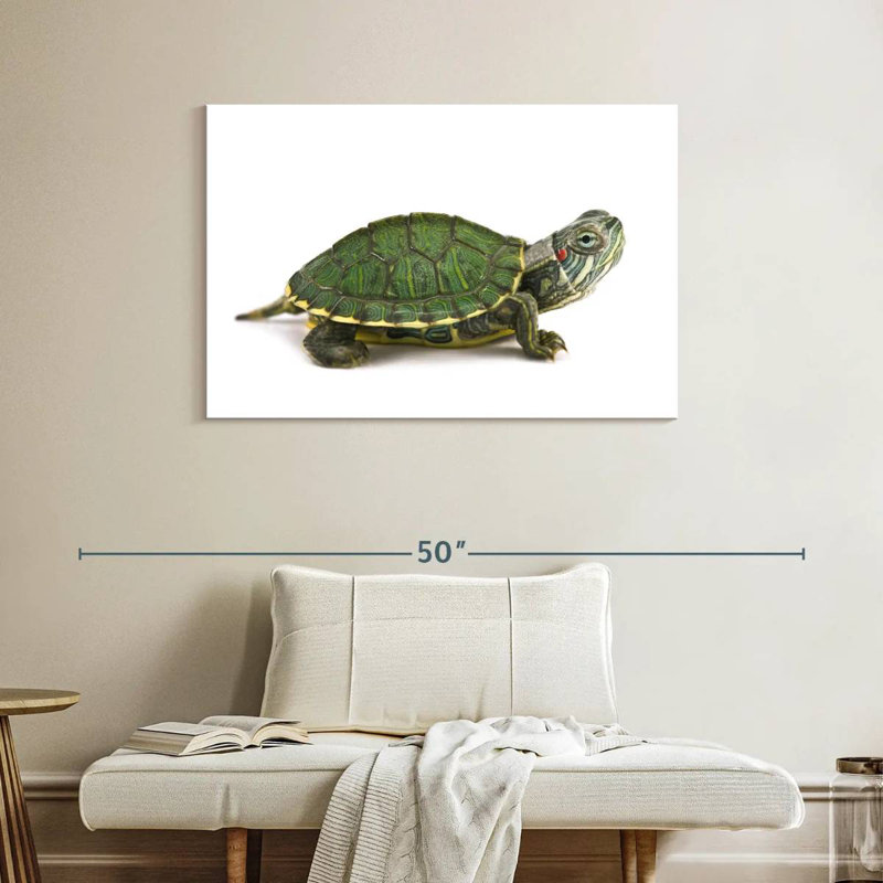 Red Eared Turtle, 26" H x 39" W