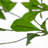 Rona Tree-Rona Tree-8'