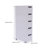 Kongsvinger 5 Drawer Storage Cabinet