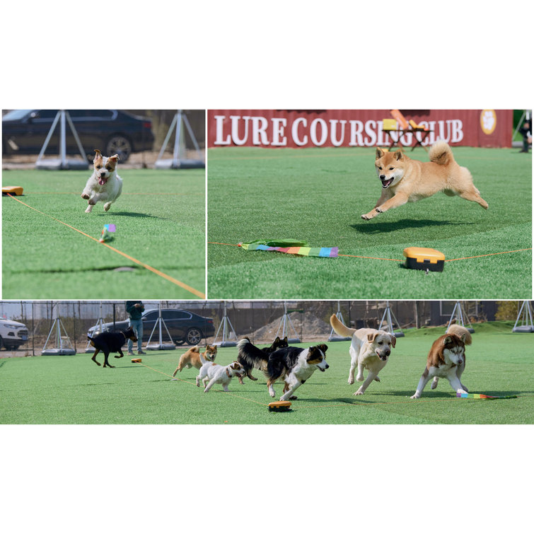 Remote-Control Pet Chase Toy for Outdoor Exercise & Training, Suitable for Dogs POPRHINO