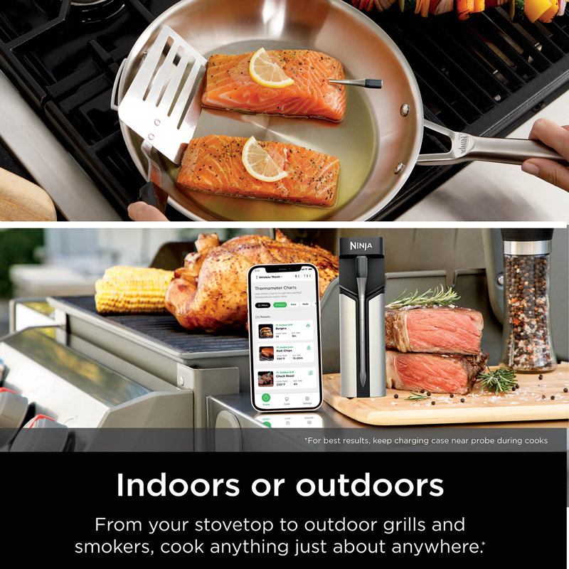Ninja Prochef Wireless Thermometer