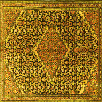Washable Oriental Indoor Rug
