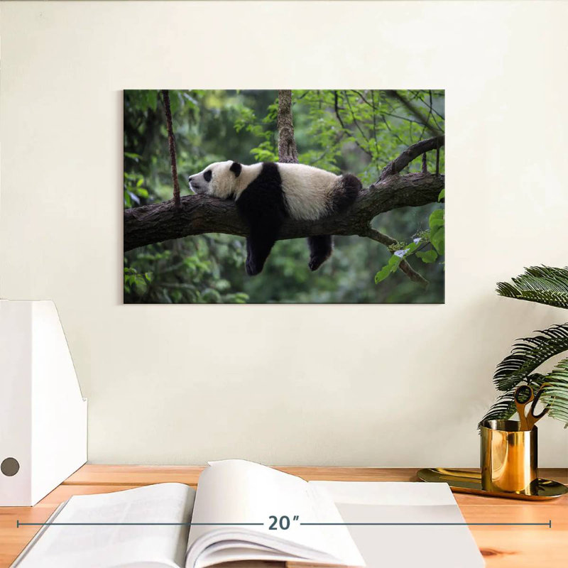 Brampt Lazy Panda, 8" H x 12" W