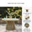 Ocean Park Outdoor Dining Table