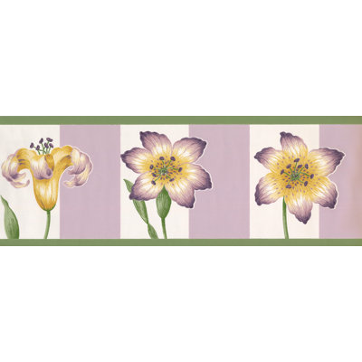 Verlyn Border