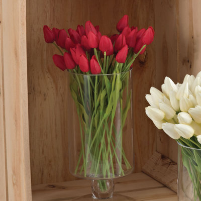 Tiges de tulipe petite