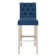 Bryanna Upholstered Counter Stool with Solid Wood Frame
