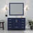 Jacques 48 in W x 22 in D Single Bath Vanity and Top-112953137-104785133