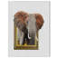 « éléphant in, cadre en bois », reproduction d’impression sur toile tendue-29495649