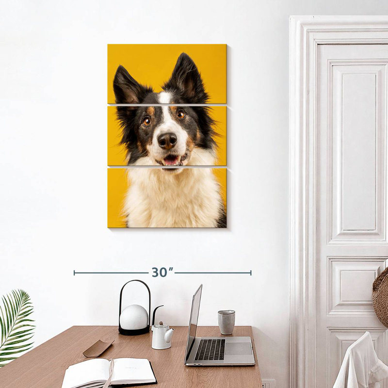 Brampt Adorable Border Collie, 32" H x 20" W