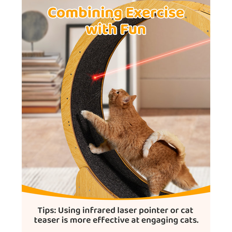 Large Treadmill Cat Exercise Wheel For Running Silent, Medium (45.7" H x 13.4" W x 43.3" L)