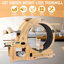 Une roue pour chat pour un plaisir en intérieur