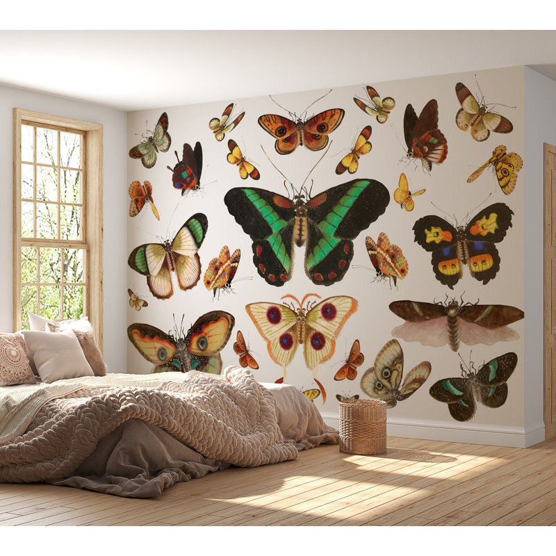 Papier peint de qualité supérieure - Papillons colorés, L 108 po x l 150 po