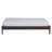 Dornhof Solid Wood Open-Frame Bed-1050640394