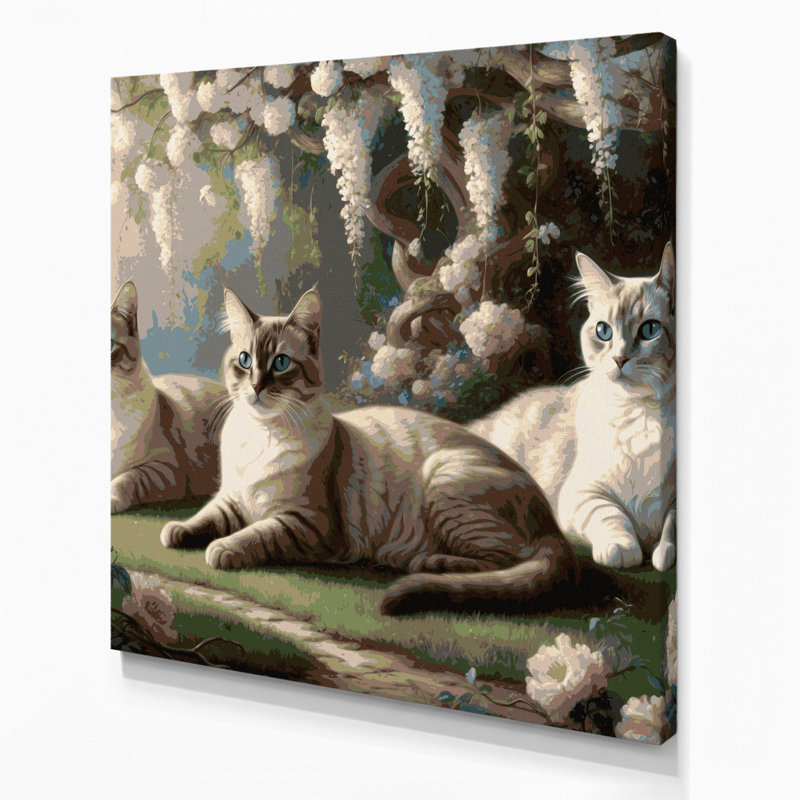 Cats tonkinois gris, art mural sur toile, H 12 po x l 12 po
