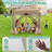 10FTx10FT Screen Room with Mosquito Netting-105123207