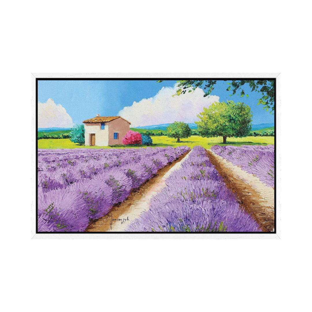 Haus mit blauen Fensterläden in der Provence