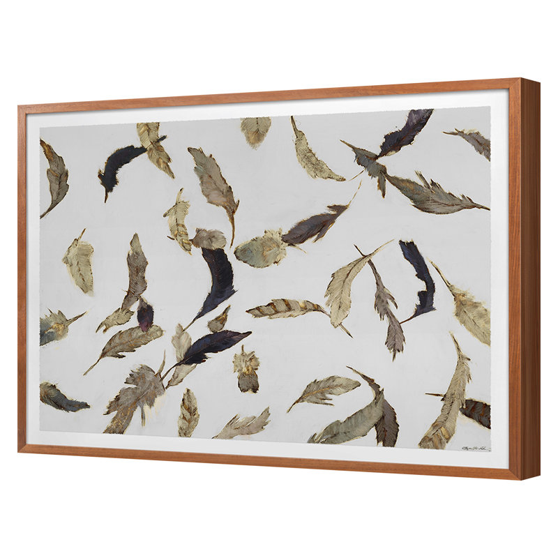 Falling Feathers White 2 Print by Atkinson, Sarah, Walnut Single Picture Framed, 24'' H x 30'' W